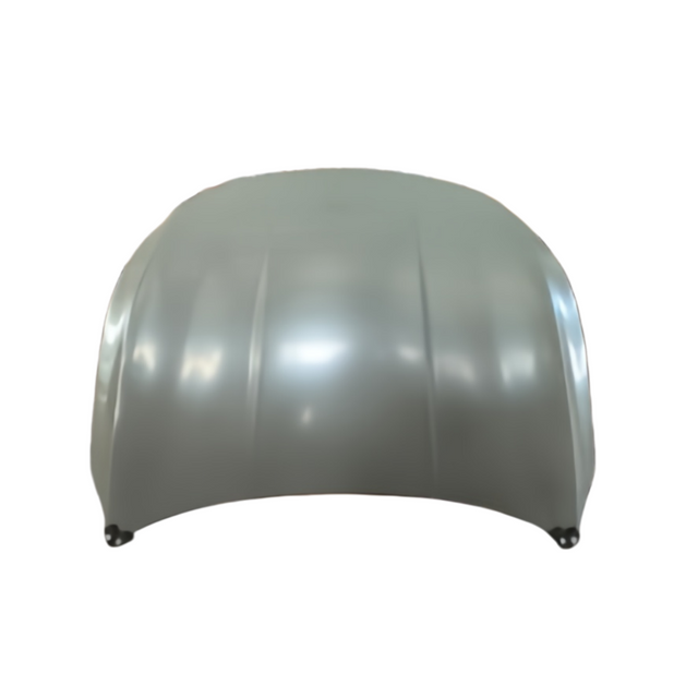 REPLACEMENT HOOD BYD DESTROYER 05 2022 HA2HJ-8402010/77