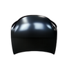 REPLACEMENT FRONT DOOR TOYOTA REIZ 2005-2009 670020P010/670010P010