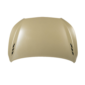 COLLISION REPLACEMENT HOOD LACROSSE 2009 BUICK 23122743