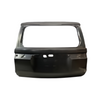 REPLACEMENT TAIL GATE TOYOTA PRODA TJA 250 2024 67005-60N50