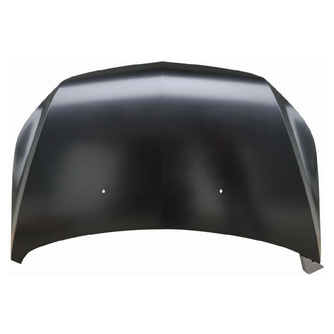 REPLACEMENT HOOD 2010 CHEVROLET SAIL 9048625