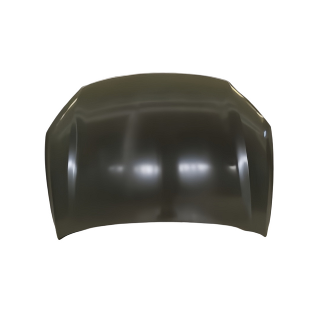REPLACEMENT HOOD BYD E2 2019 EL-8402010/77
