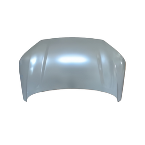 REPLACEMENT HOOD BYD SONG PLUS CHAMPION SA3HK-8402010/70