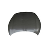 REPLACEMENT FRONT DOOR XPENG M03 5010200DM1/5030200DM1