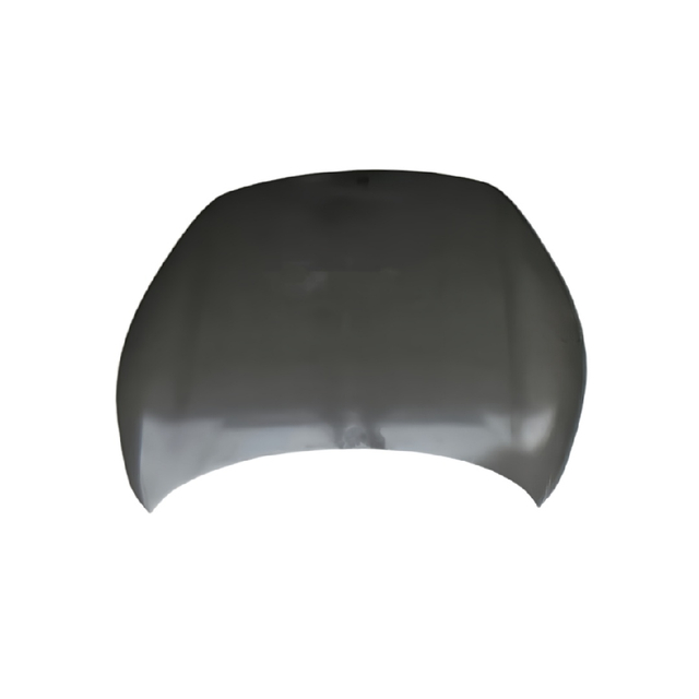 REPLACEMENT FRONT DOOR XPENG M03 5010200DM1/5030200DM1
