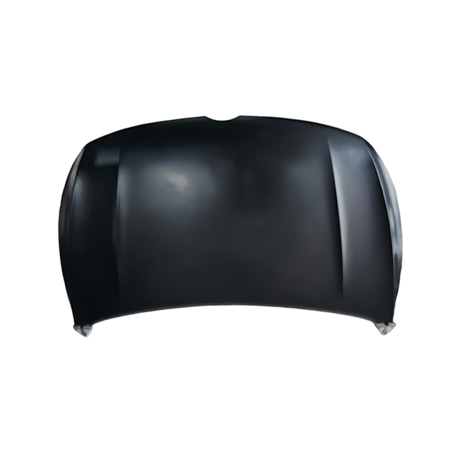 REPLACEMENT FRONT DOOR BAIC X25 A00041538/A00041541