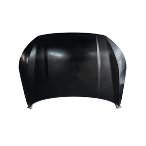 REPLACEMENT FRONT DOOR BAIC X55 A00200423/A00200570