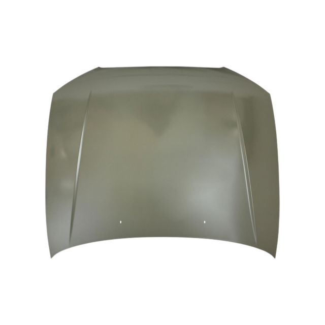 REPLACEMENT FRONT DOOR HYUNDAI ACCENT 2006 760030M000/760040M000